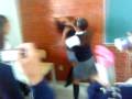 conalep g a m 1