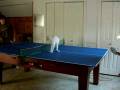 videos de Tico the Cat Plays Ping Pong (HILARIOUS VID!)