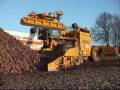 Bietentransport 2008
