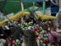 videos de Terapia das Bolinhas