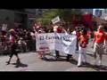 NDP at PRIDE 2007 - Toronto