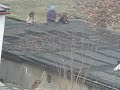 Dzieci wojny na gara?ach