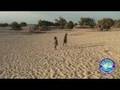 Blue Ventures Carbon Offset 1