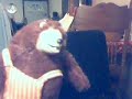The SPP Video The SPP Video