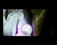 Hjalmar Tim Ilmer