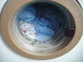 Privileg 44 - Buntwäsche/Cottons 60°C (Part 1/5) Privileg 44 - Buntwäsche/Cottons 60°C (Part 1/5)