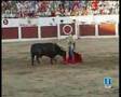 Cogida-grave-al-tore