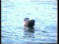 video Hajro...