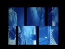 radiohead-live-hollywood-bowl-2008-house-of-cards.html