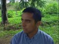 el pueblo mapuche y la invasión forestal  parte 3  de 4 