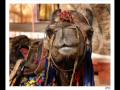 Jaipur - The Pink City