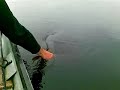 Pesca al Luccio in Irlanda - 19-26 agosto 2008