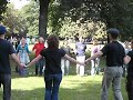 Baumbesetzung durch Robin Wood im Stuttgarter Schlosspark