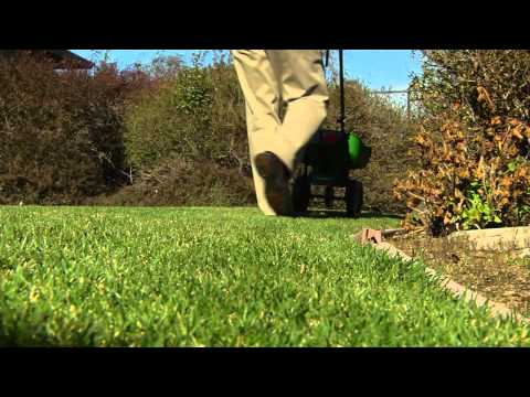 how to fertilize a lawn with a spreader