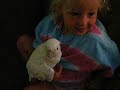 Snowball our Goffins Cockatoo Playing on Daughters shoulder Snowball our Goffins Cockatoo Playing on Daughters shoulder