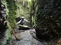 Fern Canyon