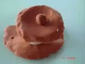 teorias evolutivas