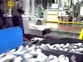 Semangat 45 di Korea Semangat 45 di Korea