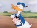 donald\ donald\
