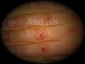 For my girlfriend Bleeding in love- Leona lewis