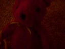 teddy has his new pet stolen!!!!!!!!!!!!!!!!!!!!!!!!!!!!!!!!!!!!!!!!!!!!!!!!!!!!!!!!!!!!!!!!!!!!!!!!!!!!!!!!!!!!!!!!!!!!!!!!!!!!!!!!!!!!!!!