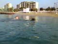 tahora à la plage 2