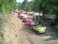 Running Beetles Running Beetles