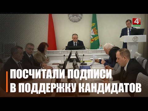 Точное количество подписей в поддержку выдвижения кандидатов в президенты определили на Гомельщине видео