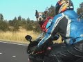 Coolest Dog Ever On A Motorcycle