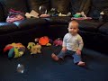 Chops hysterical at thedog chasing bubbles