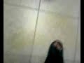 <br />
<b>Warning</b>:  htmlspecialchars() expects parameter 1 to be string, array given in <b>/home/videosq/public_html/templates/2/index.php</b> on line <b>297</b><br />
