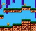 Pocket-Monster-NES-N