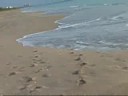 More Surf 07-14-2008