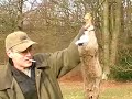 Ferreting with Sten