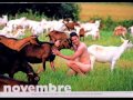 Les Agriculteurs en folie