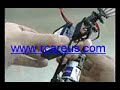 Flying Robot, CYBIRD - 2 channel Electric R/C Ornithopter