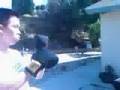 Sean Vs Harold Round 2