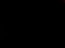 pph   bijelachwilla