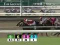 FAIR GROUNDS, 2008-11-15, Race 4