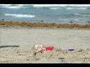 Summertime