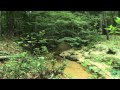 2012 Lone Star Land Steward: Cook's Branch Conservancy - Texas Parks and Wildlife [Official]
