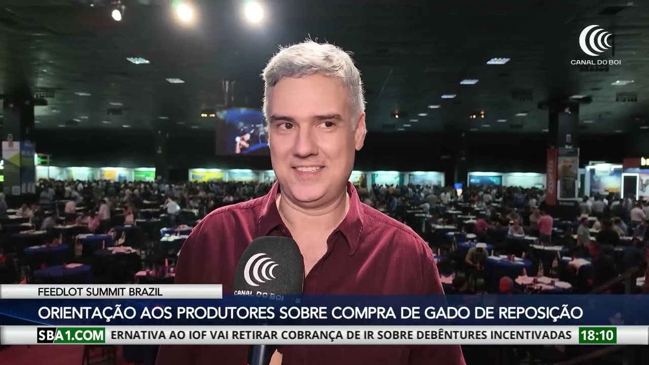 Feedlot Summit Brazil destaca cuidados na aquisição de gado de reposição