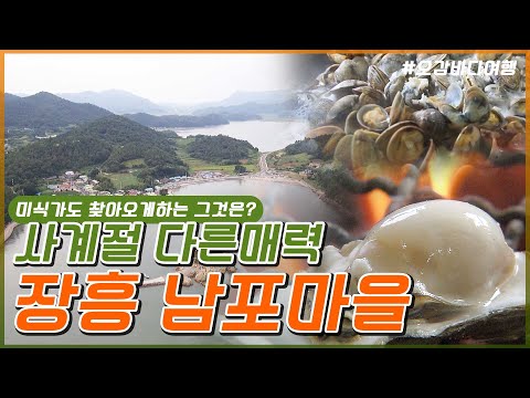 사계절 다른매력 '장흥 남포마을'