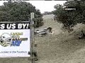 Rodriguez Accident