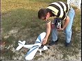 gerrys clipped wing super cub  moonport