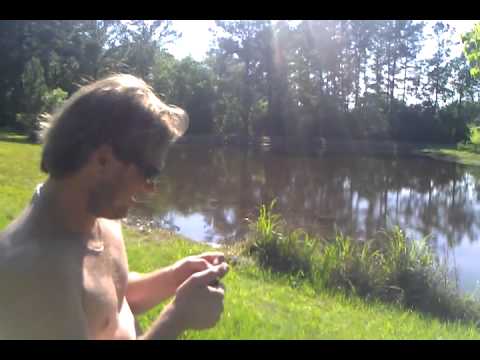 how to eliminate turtles from a pond