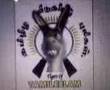 Liberation-Donkey-of