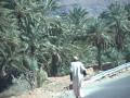 Viagem,Marrocos,On Marche