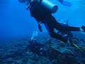 Scuba Dive At Molokini Scuba Dive At Molokini