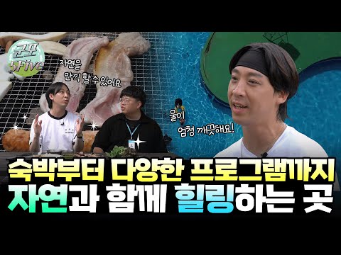 복지관 TV